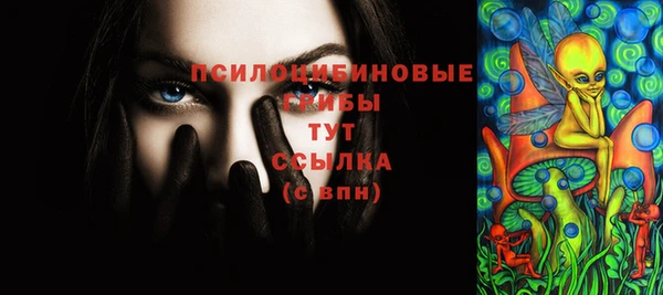 крисы Бронницы