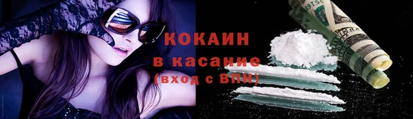 крисы Бронницы