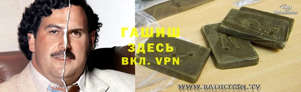 гидра Богородицк