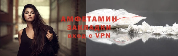 гидра Богородицк