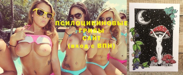 твердый Осташков
