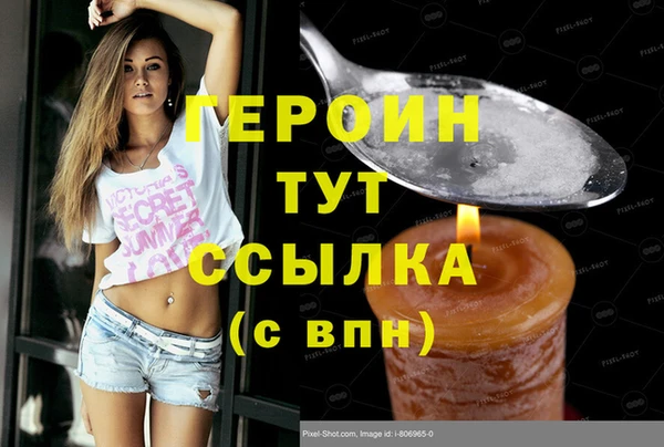 гидра Богородицк