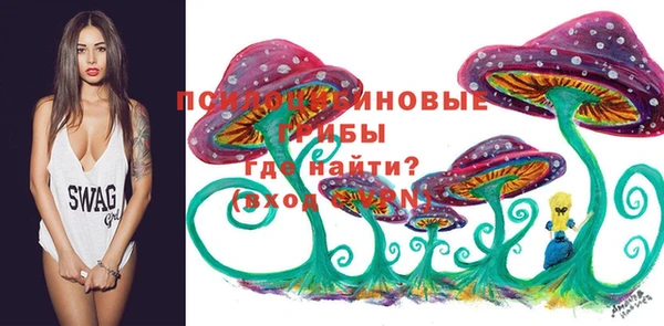 крисы Бронницы