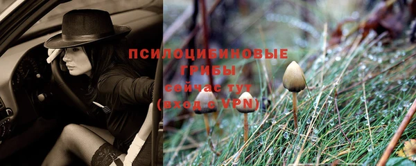мдма Богданович