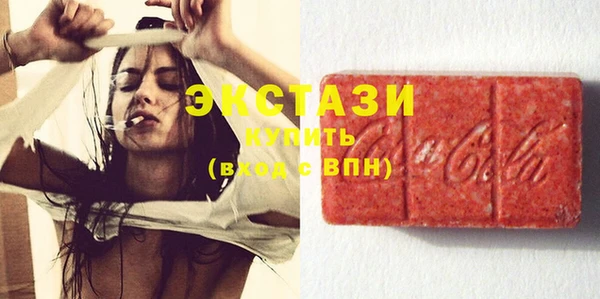гидра Богородицк