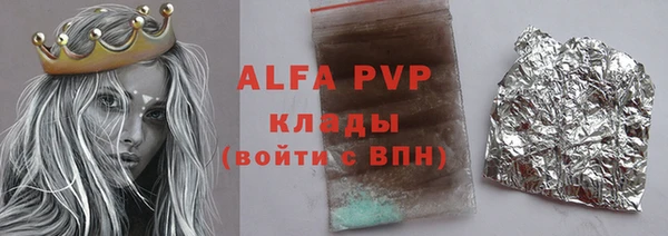 гидра Богородицк