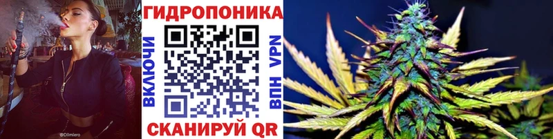 Марихуана OG Kush  Купить закладки  Краснозаводск 